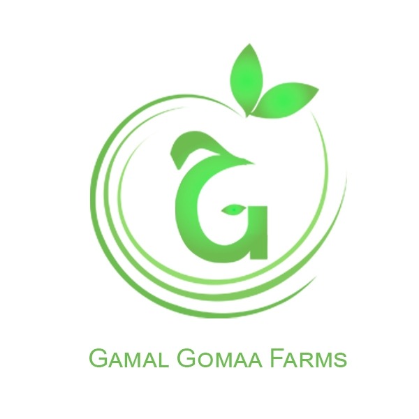 Gamal Gomaa Farms