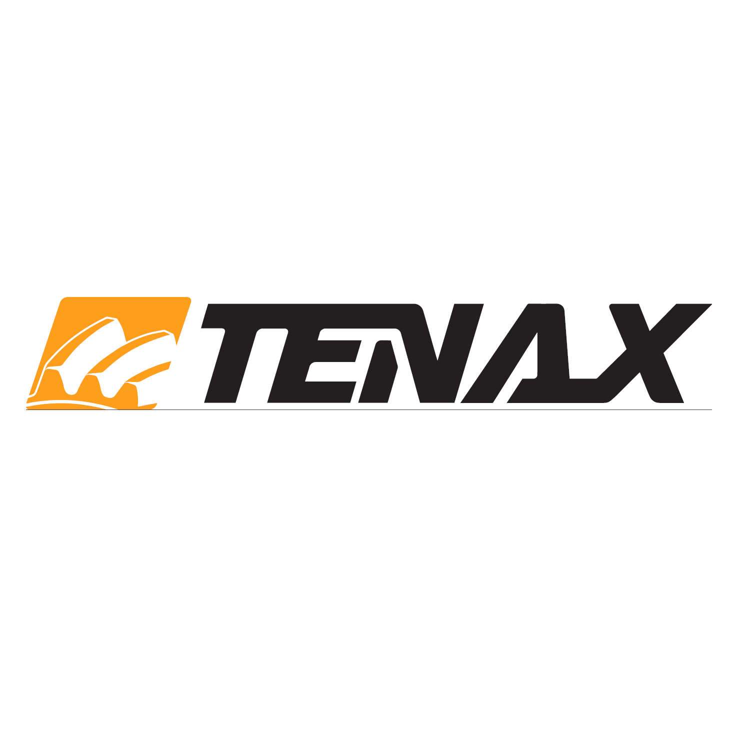 Tenax SA