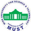 Digital services team