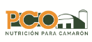 PRODUCTORES DE CAMARON DE EL ORO PCO  CIA. LTDA., Ing. Gonzalo Perez