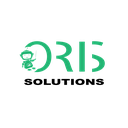 ORIS SOLUTIONS JOINT STOCK COMPANY