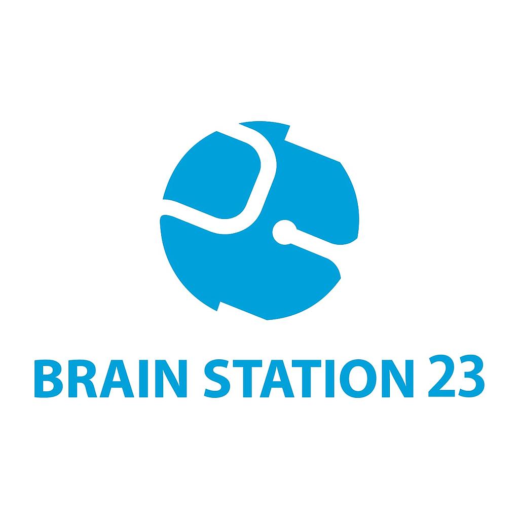Brain Station 23 LLC