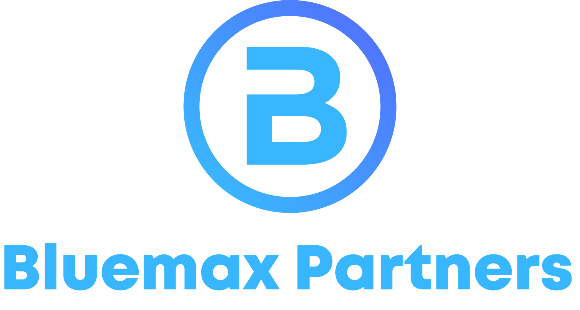 Bluemax Partners