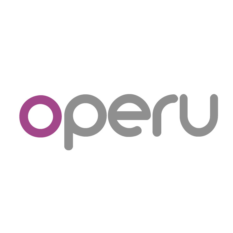 Grupo Odoo S.A.C