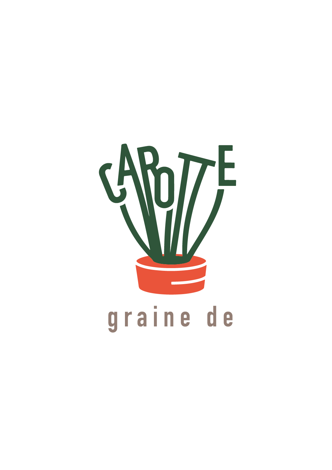 Graine de carotte
