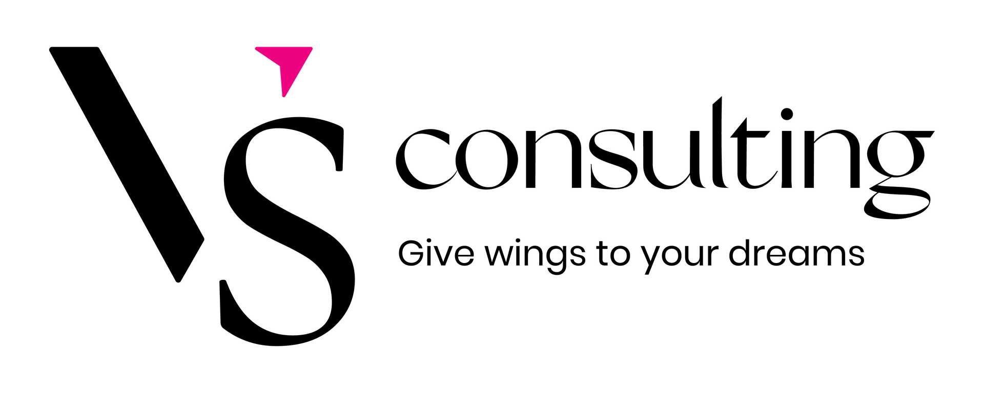 VS Consulting Company
