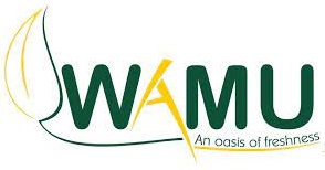 Wamu Investments  Ltd