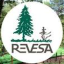 Revesa SA