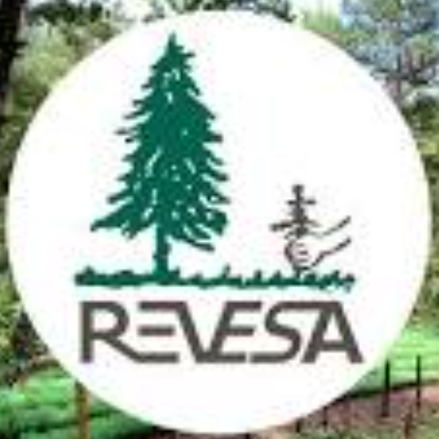 Revesa SA