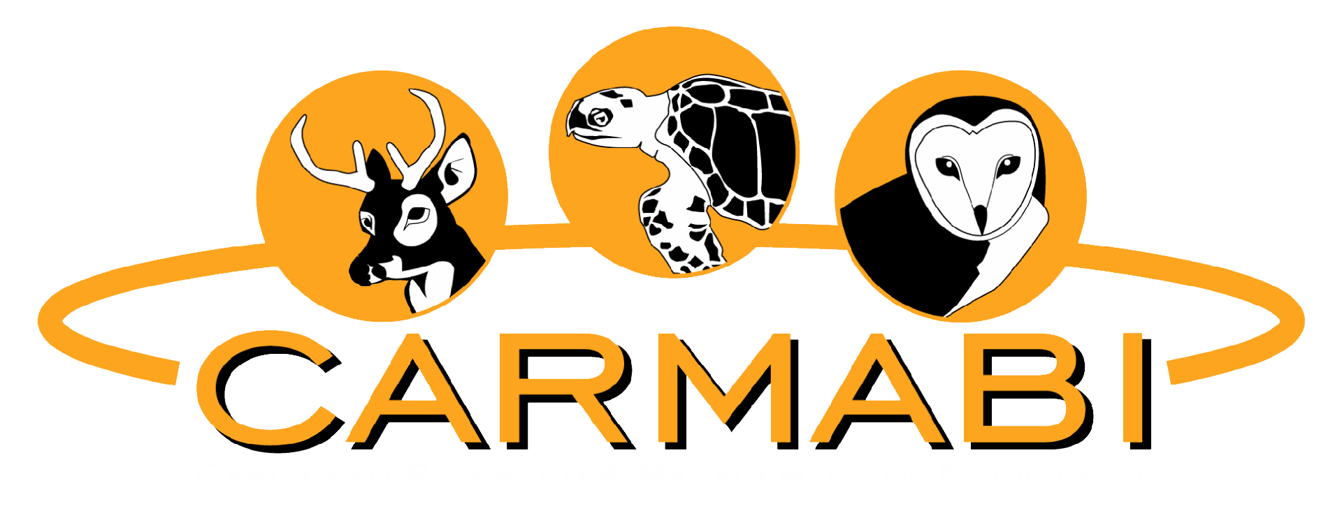 Caribbean Research and Management of Biodiversity CARMABI Foundation