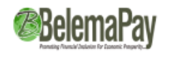 BELEMA FINANCIAL TECHNOLOGY LIMITED