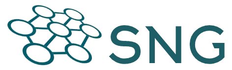 SNG Consultores