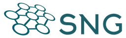 SNG Consultores