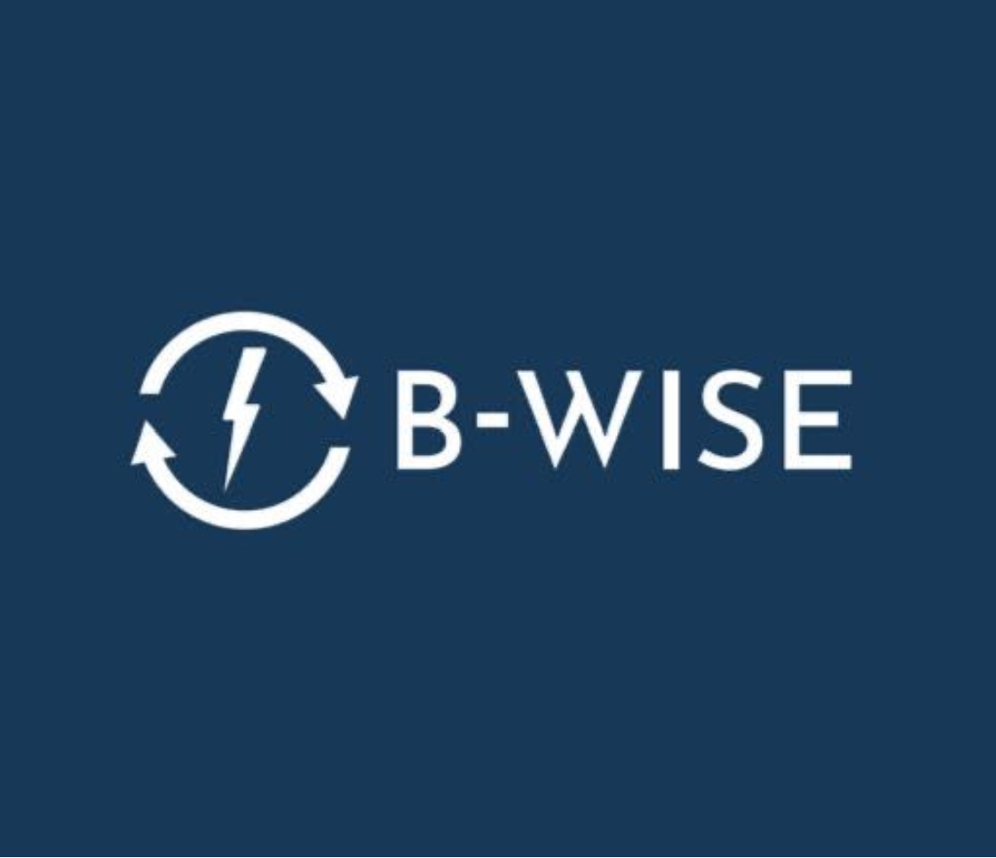 B-WISE