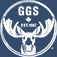 GGS Ltd.