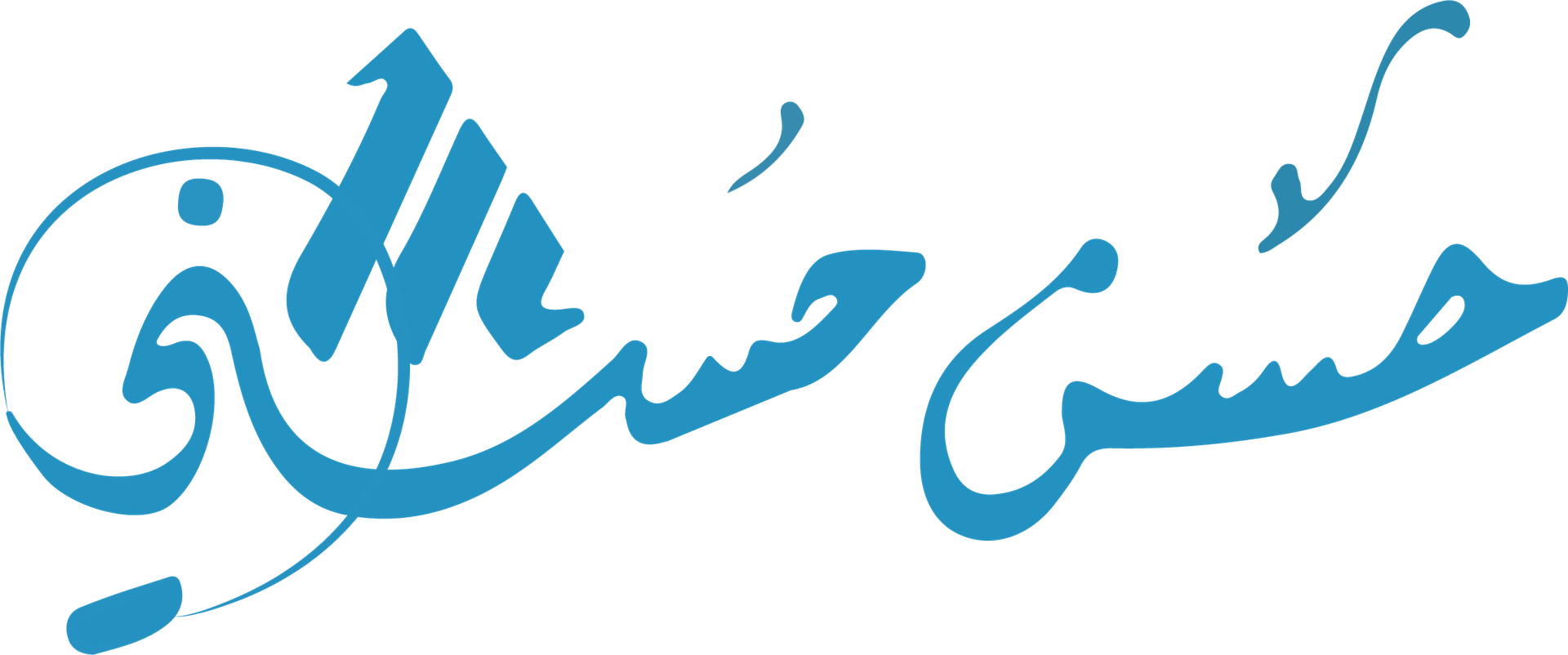 Hassan Consulting