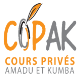 SOCIETE D’INVESTISSEMENT POUR L’EDUCATION ET LA FORMATION EN AFRIQUE