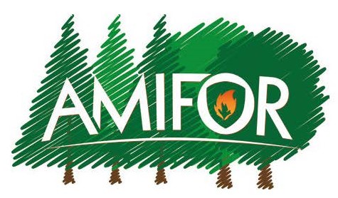 AMIFOR