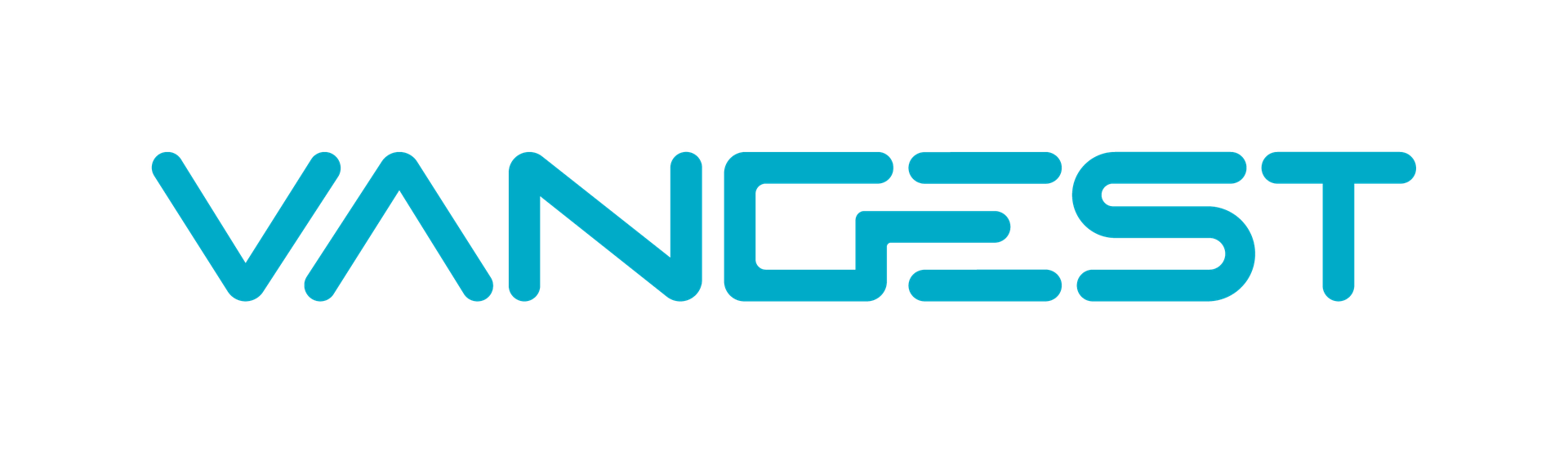 VANGEST ENGENHARIA FINANCEIRA E GESTÃO SA