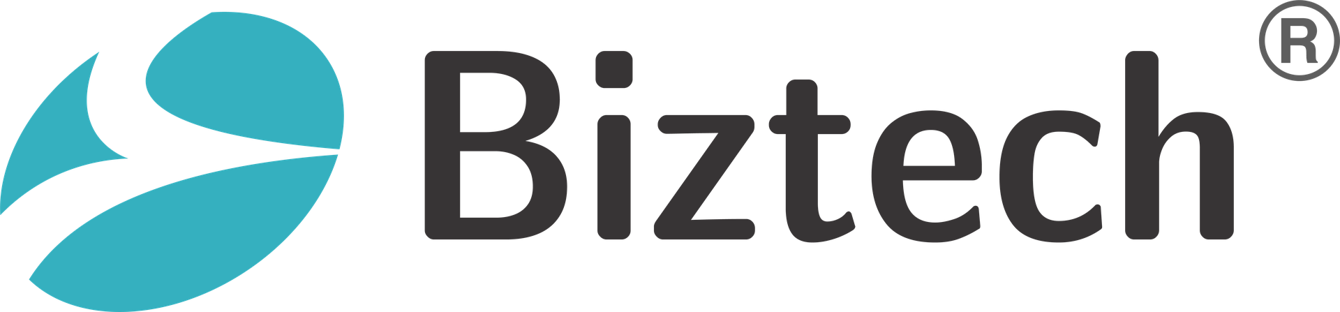 BIZTECH IT CONSULTANCY PRIVATE LIMITED