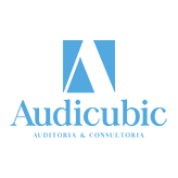 AUDICUBIC SL