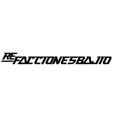 REFACCIONES Y AUTOPARTES DEL BAJIO