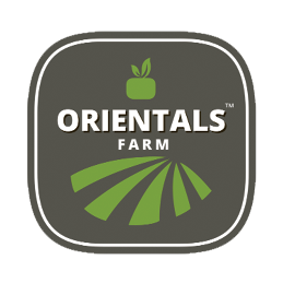 United Enterprises For Fruits & Vegetables Trading LLC