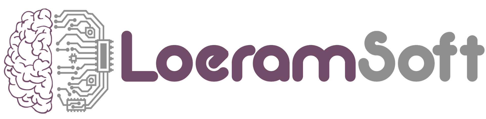 LOERAM SOFTWARE SOLUTIONS