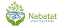 Nabatat