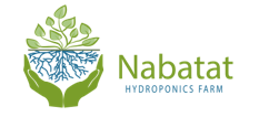 Nabatat