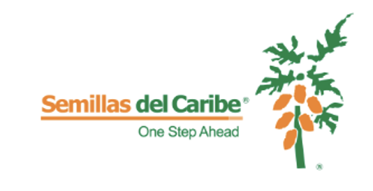 ESPECIALISTAS EN PAPAYAS