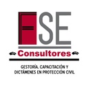 FSE CONSULTORES