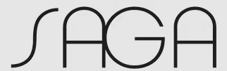 SAGA ASSOCIES