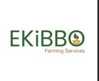 EKiBBO, Linda Kabalimba