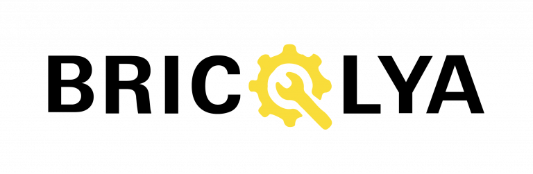 Brico Hall SARL AU