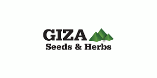 Giza Seeds & Herbs