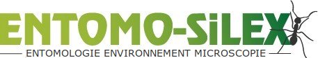 Entomo Silex