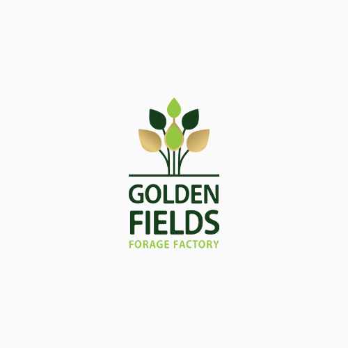 GF Agro OU, Golden Fields Oü