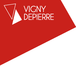 SAG VIGNY DEPIERRE