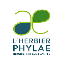 L'HERBIER PHYLAE
