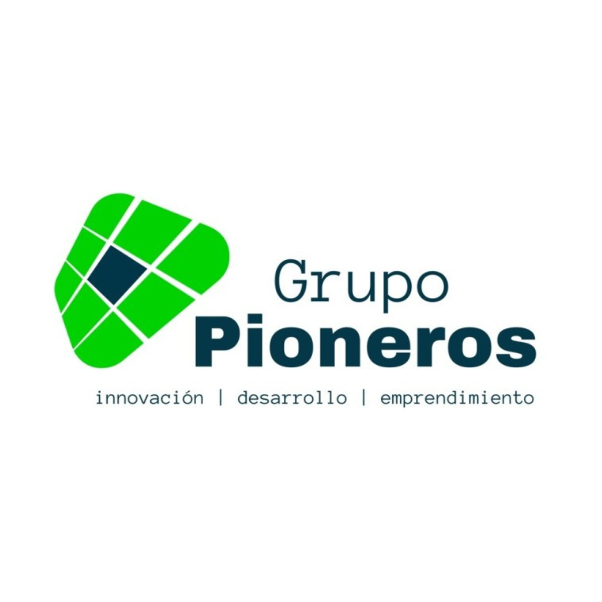 Grupo Pioneros