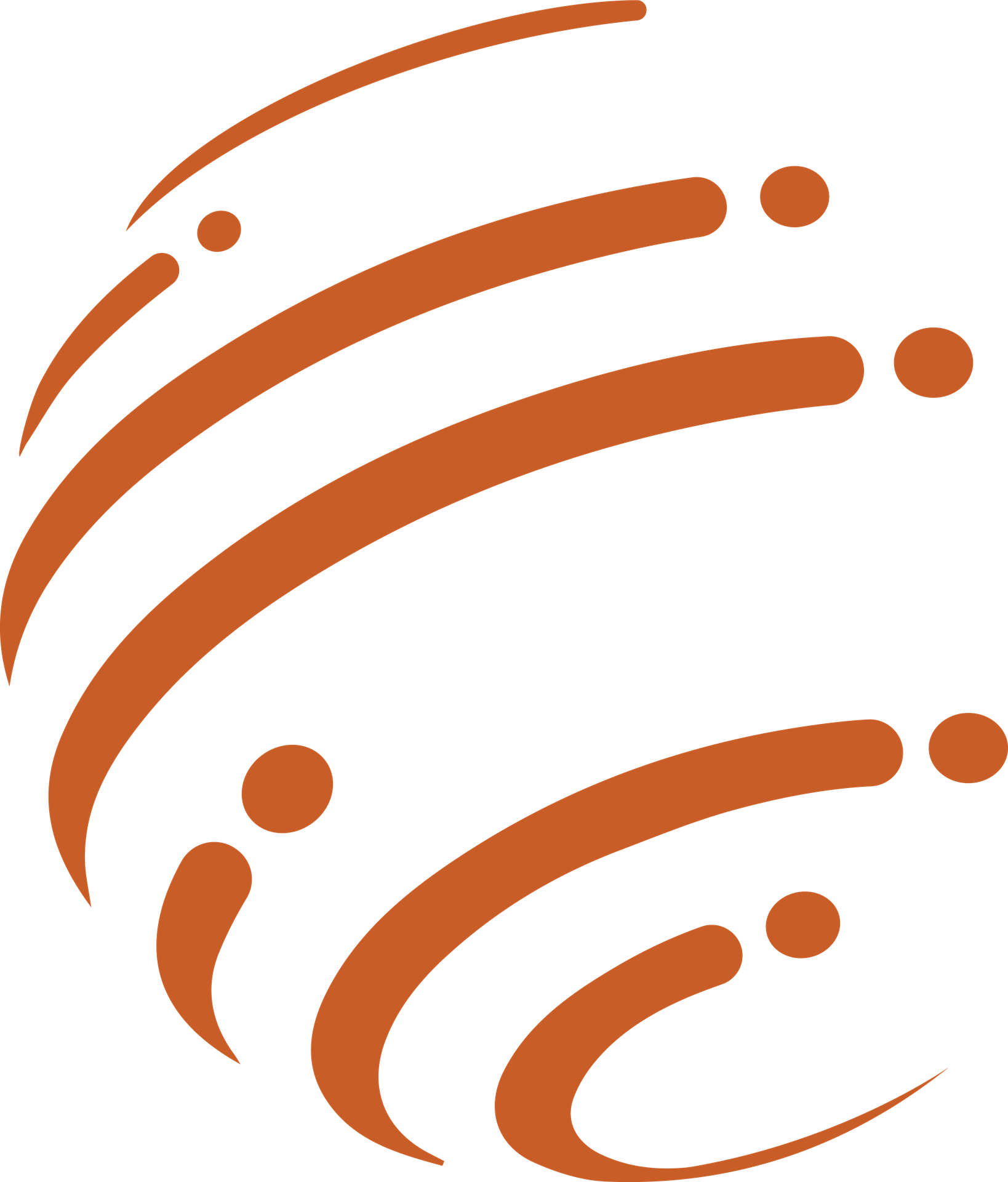 DIGITAL MANAGEMENT SOLUTIONS LLC