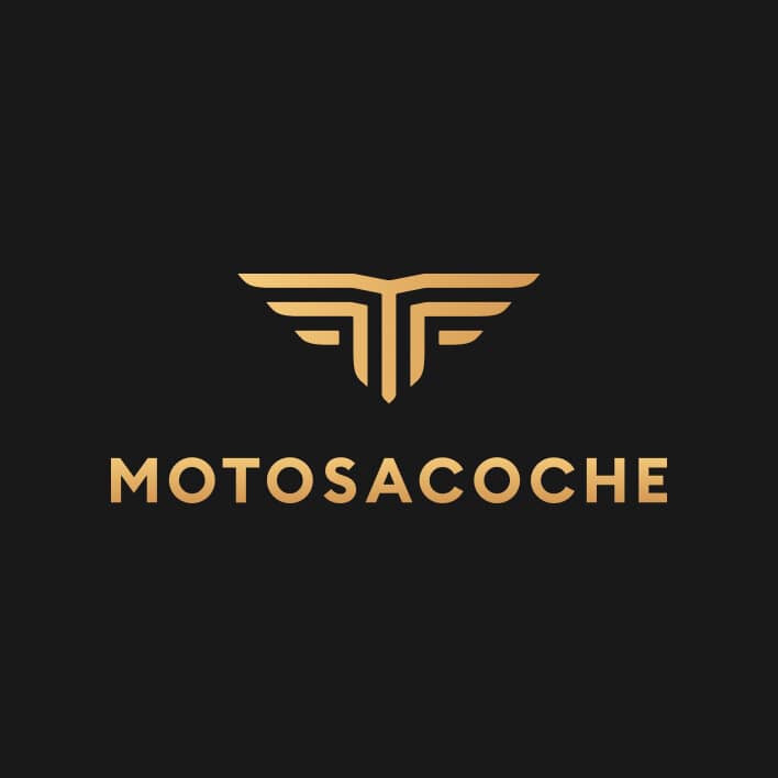 MOTOSACOCHE SA, Paul Merz