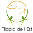 tilapia de l'est, Monja Théodore