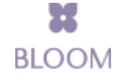 Bloom Department Store