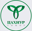 Tsakhiur Tumur LLC