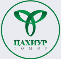 Tsakhiur Tumur LLC