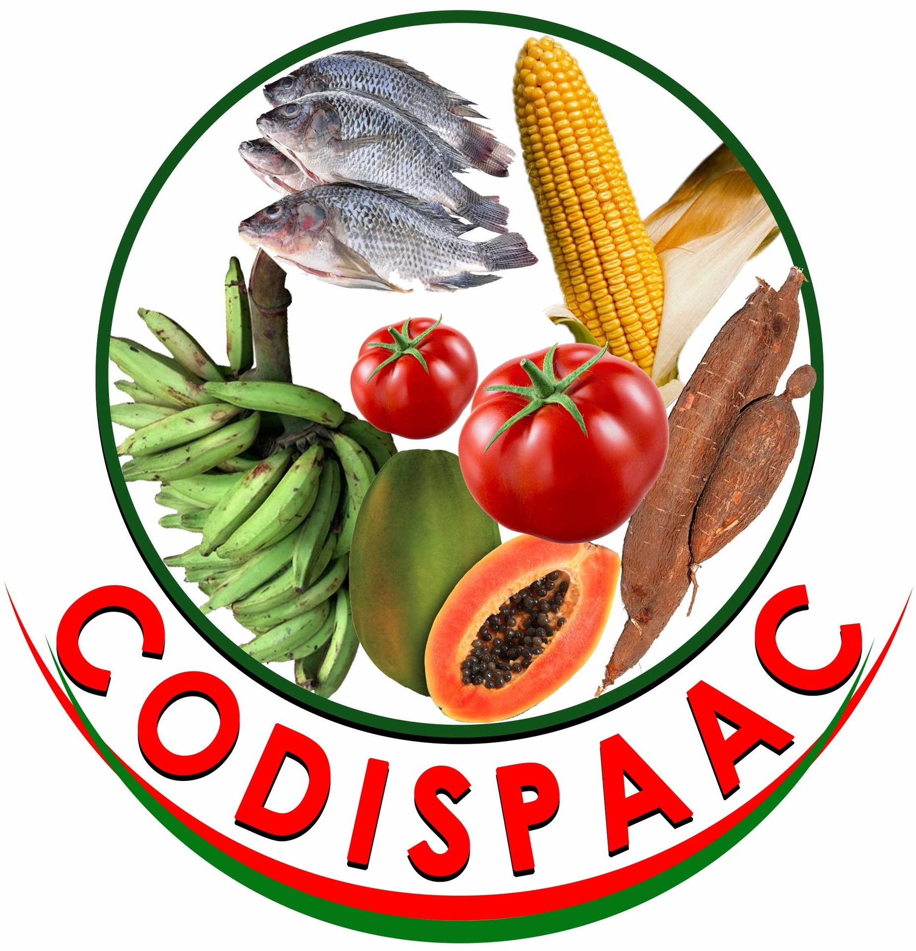 CODISPAAC
