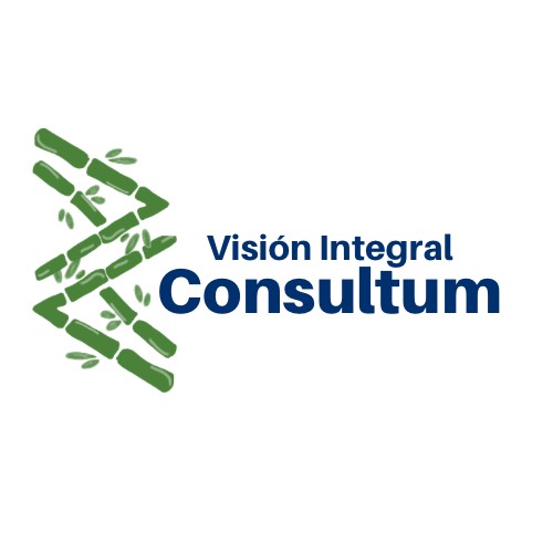 Visión Integral Consultum SA