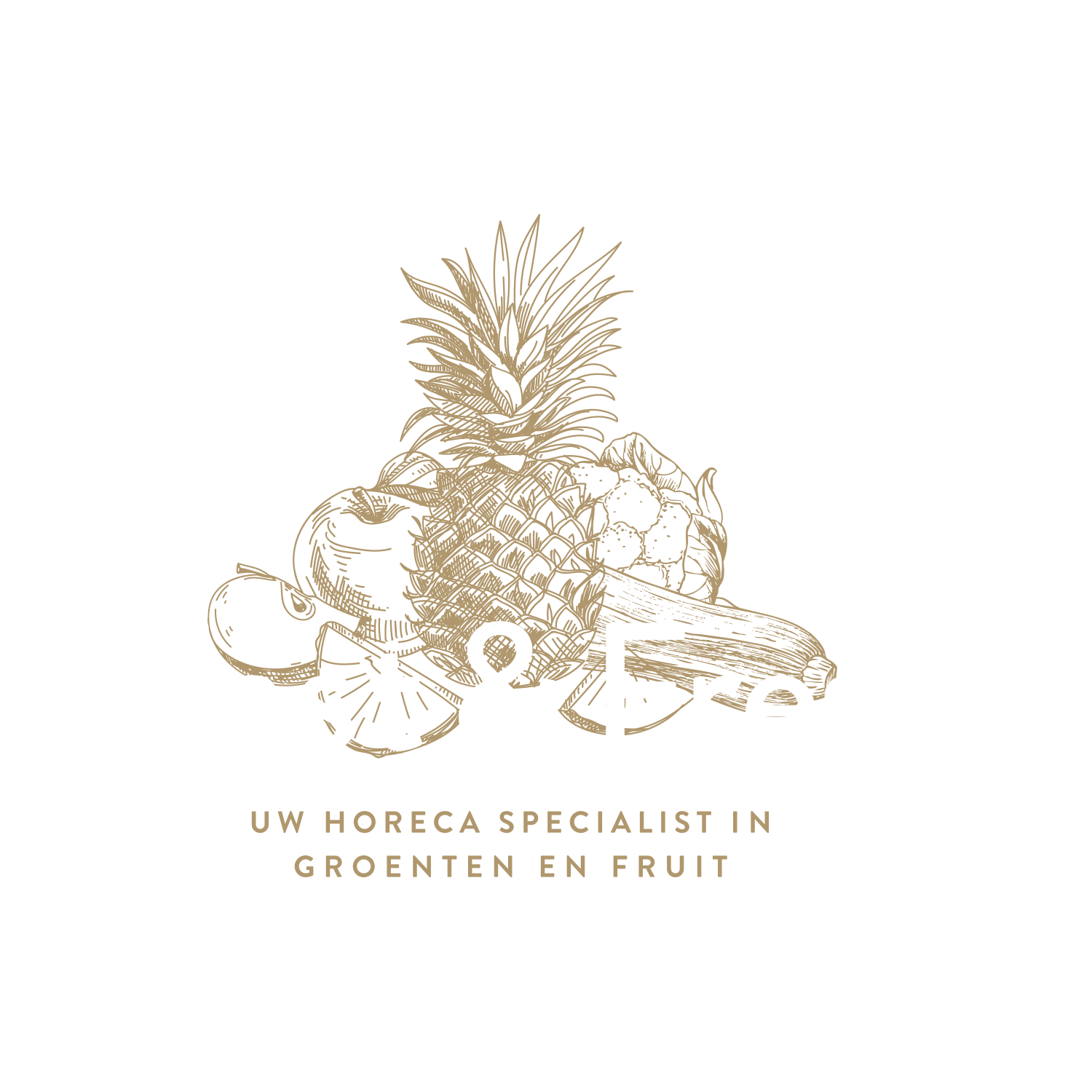 BV FAST & FRESH